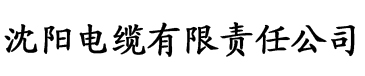 大香蕉福利导航在线电缆厂logo